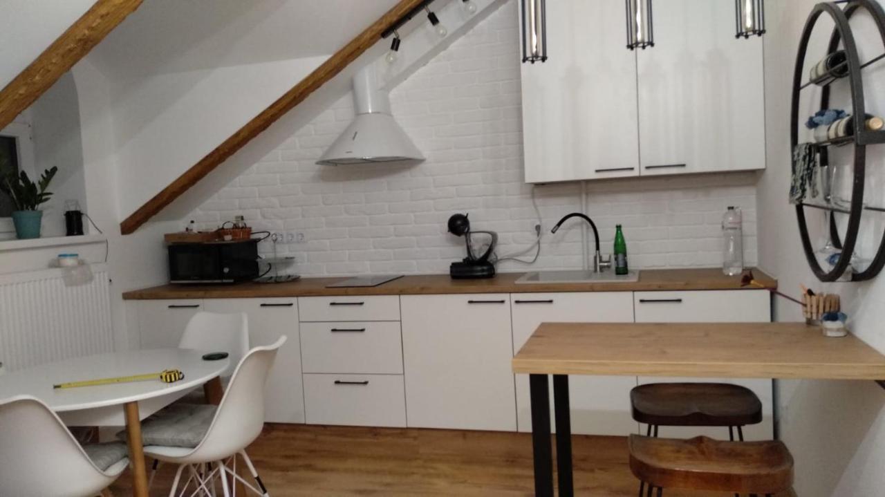 Old Town Loft Apartments Kamianets Podilskyi Bagian luar foto