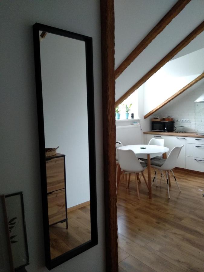 Old Town Loft Apartments Kamianets Podilskyi Bagian luar foto