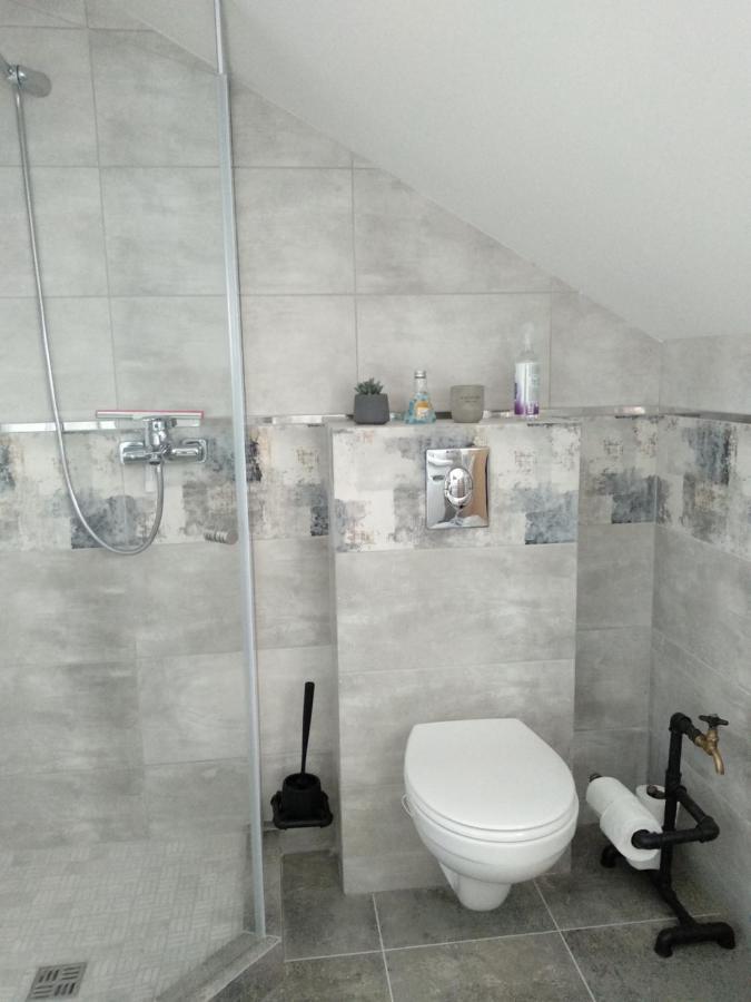Old Town Loft Apartments Kamianets Podilskyi Bagian luar foto