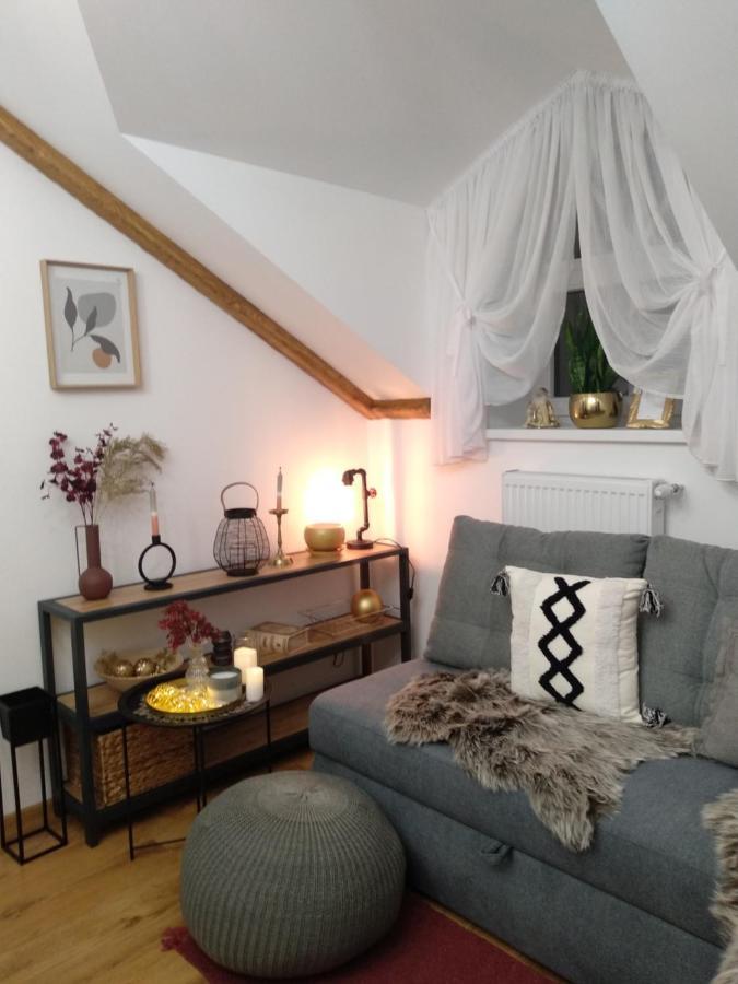Old Town Loft Apartments Kamianets Podilskyi Bagian luar foto