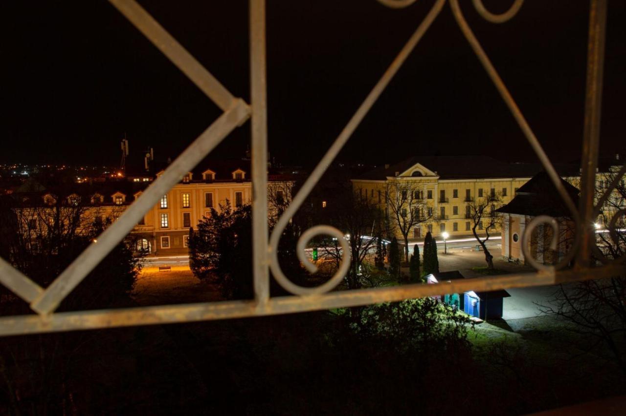 Old Town Loft Apartments Kamianets Podilskyi Bagian luar foto